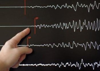 Gempa Magnitudo 3.7 Mengguncang Keerom, Papua