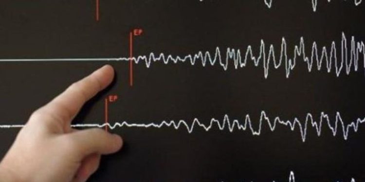 Gempa Magnitudo 3.7 Mengguncang Keerom, Papua