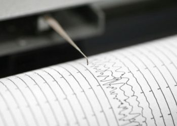 Gempa Magnitudo 3.7 Guncang Wilayah Daruba, Maluku Utara