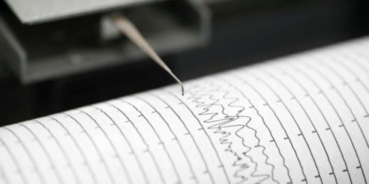 Gempa Magnitudo 3.7 Guncang Wilayah Daruba, Maluku Utara