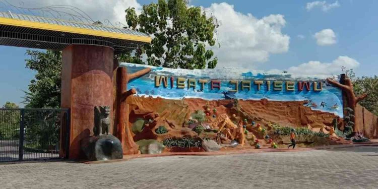 Harga Tiket Masuk Wisata Jati sewu Gresik