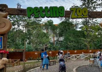 Harga tiket dan Jam buka Solo Safari