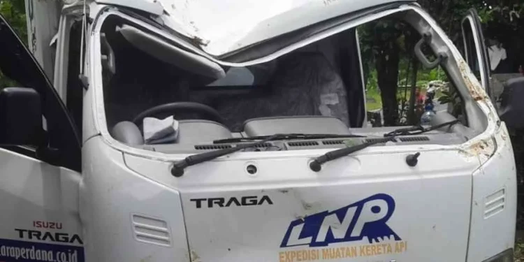 Insiden Siang Hari di Gunungkidul, Truk Box Tertimpa Dahan Pohon