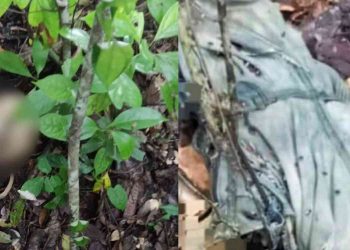 Kerangka Manusia Ditemukan di Gunung Tugel Kulon Progo, Polisi Duga Korban Bunuh Diri