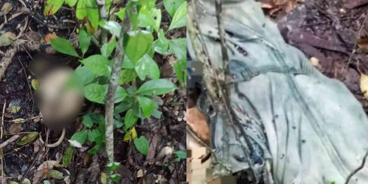 Kerangka Manusia Ditemukan di Gunung Tugel Kulon Progo, Polisi Duga Korban Bunuh Diri