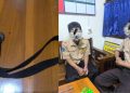 Keributan Depan SMA di Wirobrajan, Polisi Temukan Sabuk Gir dari Salah Satu Pelajar