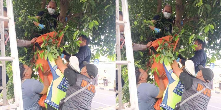 Petugas gabungan mengevakuasi jenazah korban gantung diri dari atas pohon di kawasan Jl Kahar Muzakir, Kelurahan Terban, Kecamatan Gondokusuman, Kota Yogyakarta, Kamis (22/1/2026).