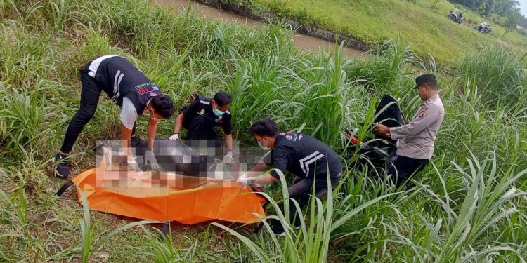 Petugas gabungan mengevakuasi korban kecelakaan lalu lintas yang terjatuh ke area persawahan di Jalan Raya Sanden, Pandak, Bantul, Rabu (21/1/2026)