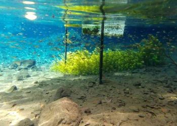 Sumber Sira Putukrejo Malang Jawa Timur