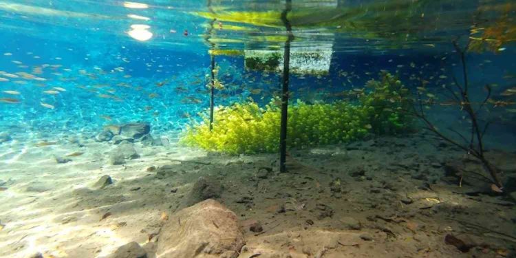 Sumber Sira Putukrejo Malang Jawa Timur