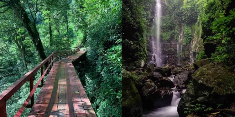 Tempat Wisata Air Terjun Curug Lawe