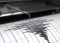 Gempa Magnitudo 3.2 Mengguncang Keerom, Papua