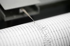 Gempa Magnitudo 3.3 Guncang Gayo Lues, Aceh