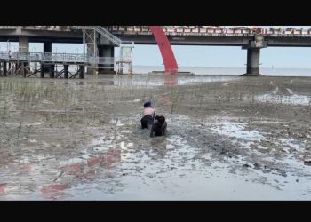 Personel Dit Polairud Polda Jatim Berhasil Evakuasi Dua Anak Terjebak Lumpur di Kenjeran