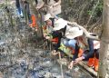 PSLH UGM Lakukan Rehabilitasi Mangrove di Pandeglang untuk Perkuat Ekosistem Laut