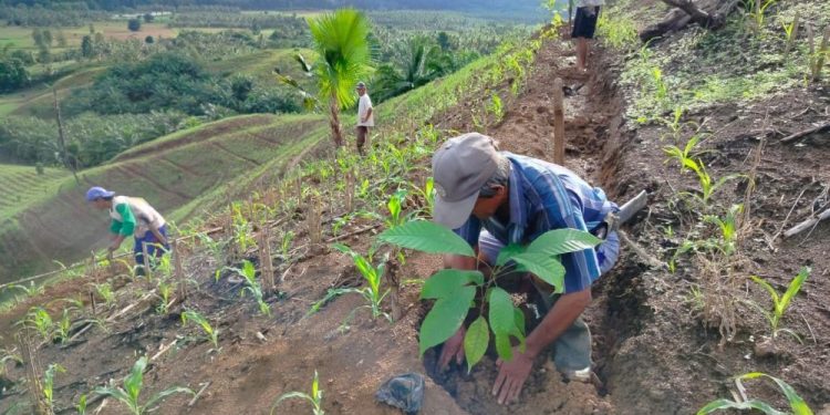 Subsektor Penyumbang Kenaikan Nilai Tukar Petani di Gorontalo