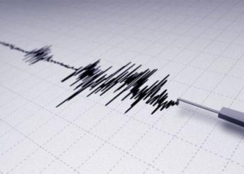 Gempa Magnitudo 3.0 Mengguncang Sarmi, Papua
