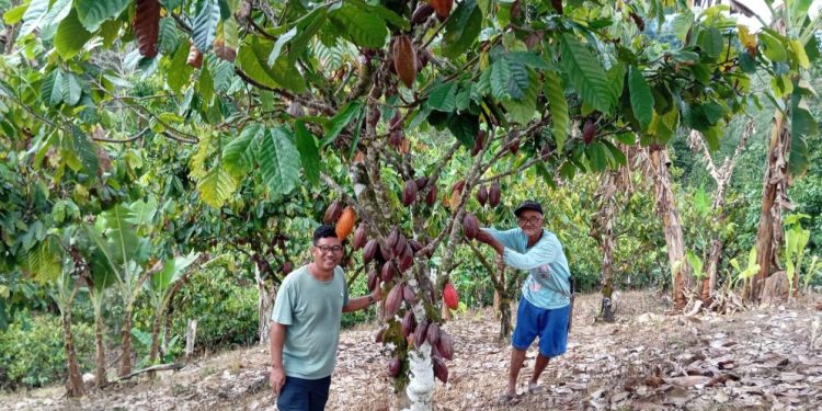 Gorontalo Tingkatkan Program Kampung Iklim untuk Hadapi Perubahan Iklim