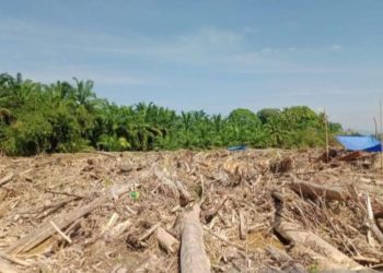 Kemenhut Lanjutkan Pembersihan dan Persiapan Hunian di Sumut dan Aceh