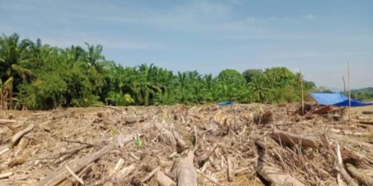 Kemenhut Lanjutkan Pembersihan dan Persiapan Hunian di Sumut dan Aceh