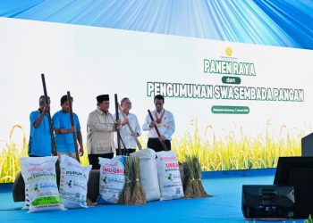 Indonesia Capai Swasembada Pangan Lebih Cepat dari Target