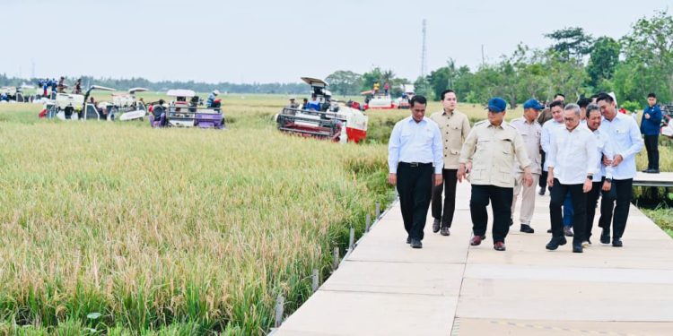 Indonesia Capai Swasembada Pangan, Presiden Prabowo Sebut Sebagai Tonggak Kemerdekaan