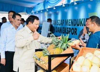Presiden Prabowo Tinjau Hilirisasi Pertanian di Panen Raya Karawang