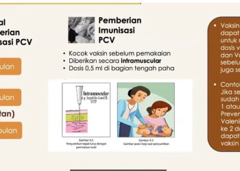 Kemenkes Perkuat Imunisasi Pneumonia dengan Vaksin Pulmeera