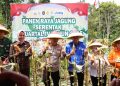 Panen Raya Jagung di Bengkulu Tengah Dorong Kesejahteraan Petani