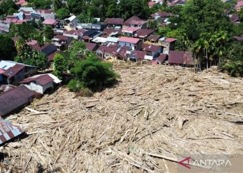 Kemenhut Identifikasi 49 Ribu Hektare Area Rehabilitasi Pasca-Bencana di Sumatra