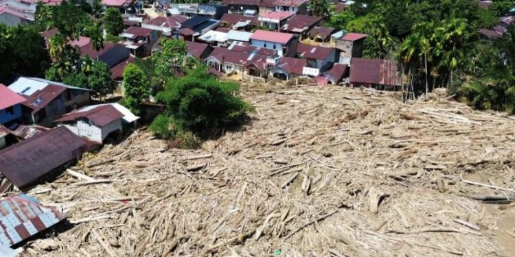 Kemenhut Identifikasi 49 Ribu Hektare Area Rehabilitasi Pasca-Bencana di Sumatra