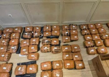 Polda Metro Jaya Ungkap Peredaran 83 Kg Ganja di Bekasi, Tiga Orang Ditahan