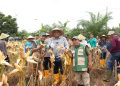 Polres dan Pemkab Siak Laksanakan Panen Raya Jagung untuk Dukung Ketahanan Pangan