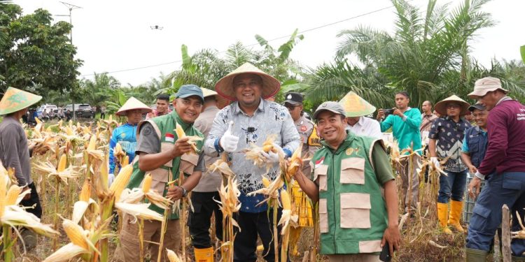 Polres dan Pemkab Siak Laksanakan Panen Raya Jagung untuk Dukung Ketahanan Pangan