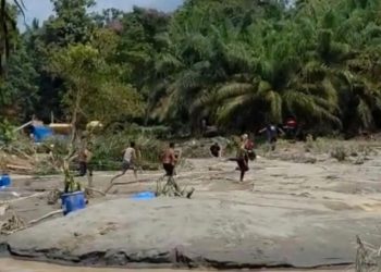 Delapan Penambang Emas Ilegal Ditangkap di Tebo, Jambi