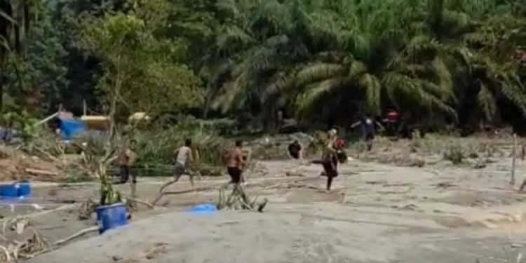 Delapan Penambang Emas Ilegal Ditangkap di Tebo, Jambi