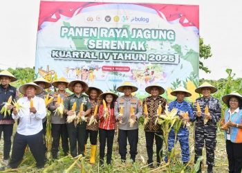 Kapolda NTT Pimpin Panen Raya Jagung di Kupang, Dorong NTT Jadi Lumbung Jagung Nasional