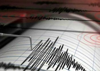 Gempa Magnitudo 3.0 Guncang Wilayah Seram Bagian Barat, Maluku
