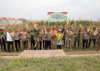 Pemkot dan Polres Probolinggo Perkuat Ketahanan Pangan Melalui Swasembada Jagung