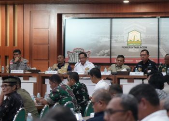 Mendagri Beri Izin Pemanfaatan Kayu Hanyut untuk Pemulihan Pascabencana