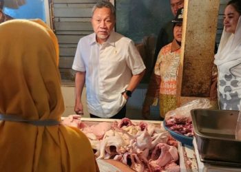 Menko Pangan Zulkifli Hasan Tinjau Harga di Pasar Bandarjo Semarang