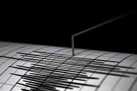 Gempa Magnitudo 3.8 Mengguncang Ende, Nusa Tenggara Timur