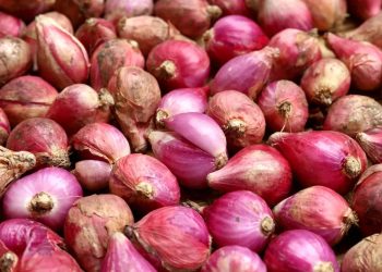 Penurunan Harga Cabai dan Bawang di Pasar Nasional pada 12 Januari