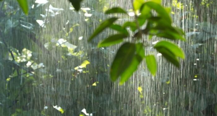 Prakiraan Cuaca DKI Jakarta dan Kepulauan Seribu untuk Sepekan Mendatang