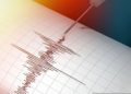 Gempa Magnitudo 4,8 Mengguncang Kabupaten Jayapura, Papua