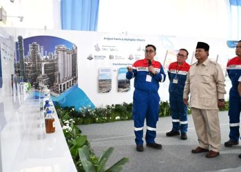 Presiden Prabowo: Kemandirian Pangan dan Energi Kunci Kedaulatan Negara