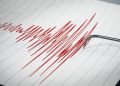 Gempa Magnitudo 3.1 Guncang Wilayah Kabupaten Jayapura, Papua