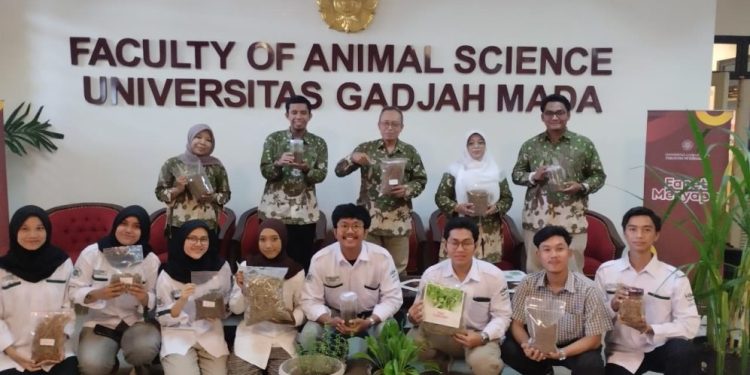 UGM Kembangkan Pakan Hijauan Bernutrisi Tinggi dengan Biaya Ekonomis