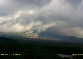 Gunung Semeru Alami Peningkatan Vulkanik Meluncurkan Awan Panas Guguran