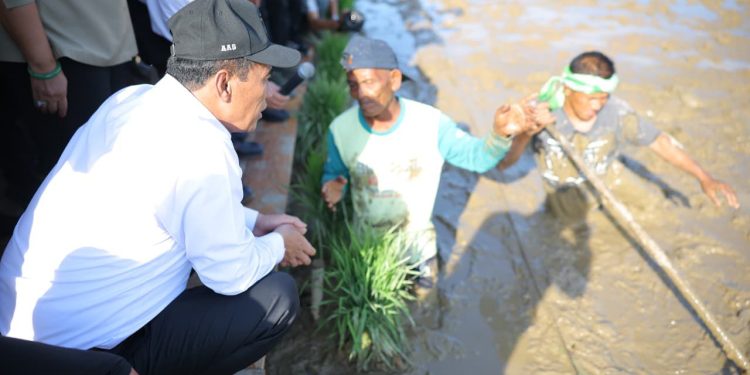 Strategi Padat Karya untuk Pemulihan Pertanian Pascabencana